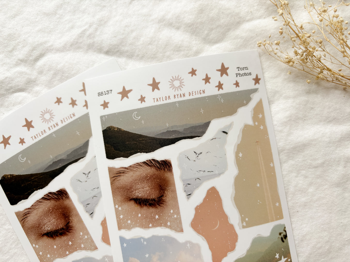 Torn Photos Sticker Sheet