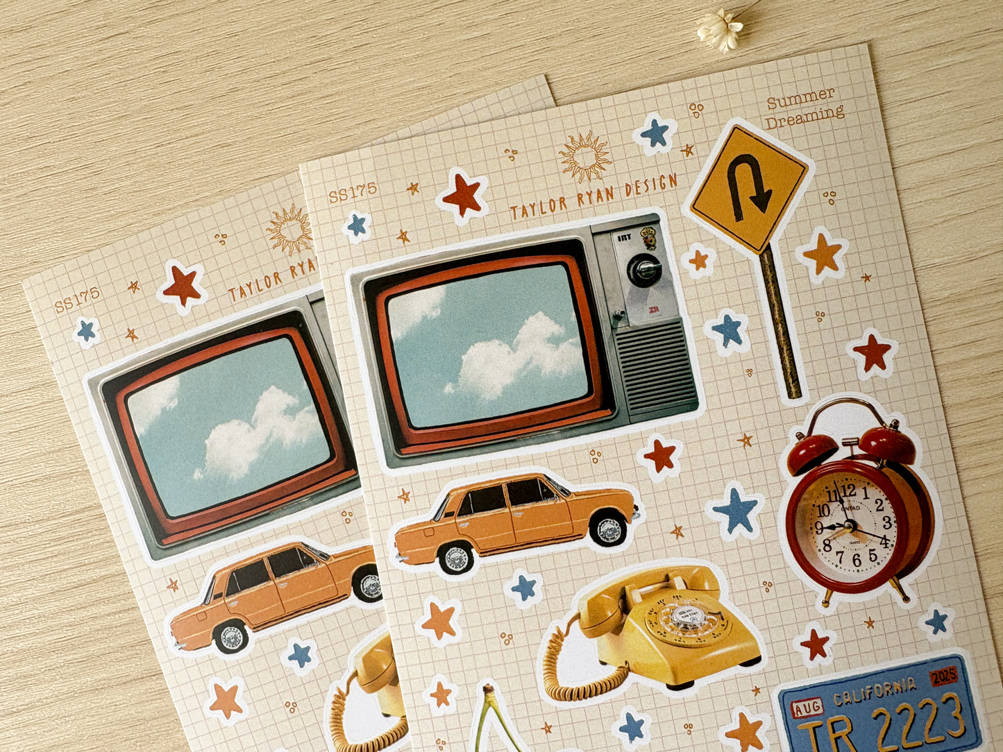 Summer Dreaming Sticker Sheet