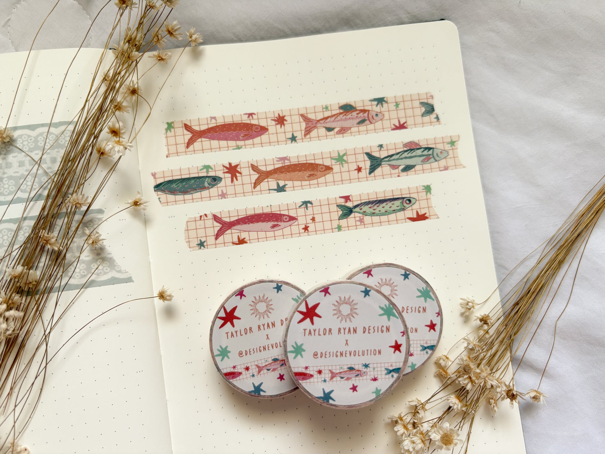 Sardine Girl FULL COLLECTION