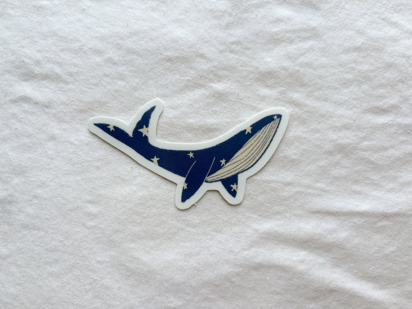 Whale Vinyl Sticker