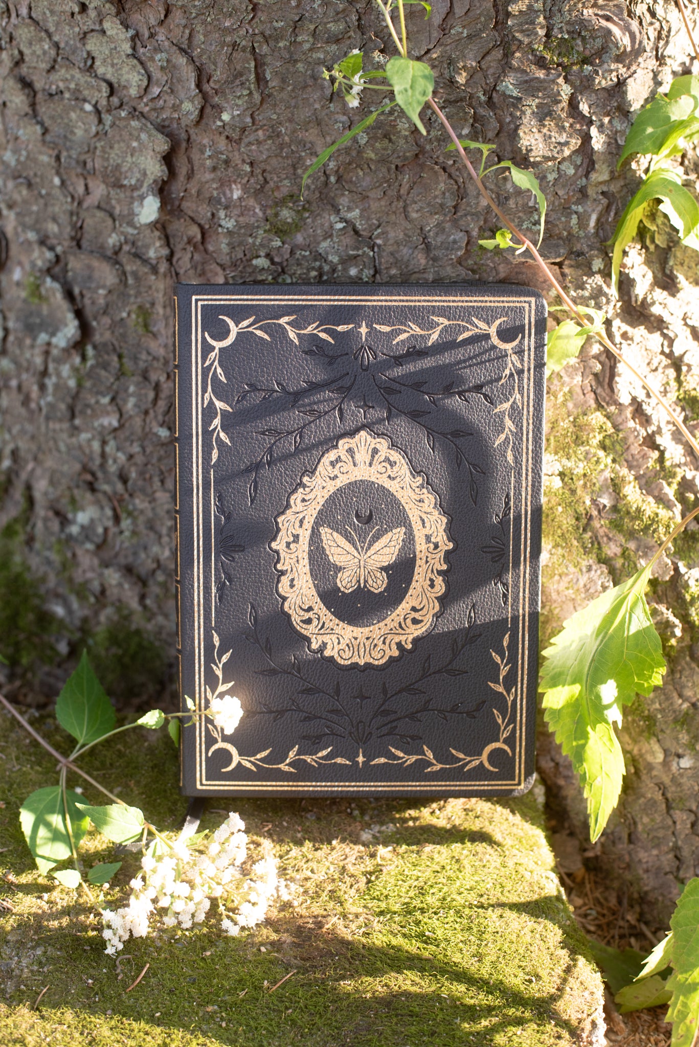 Dark Fairytale Journal