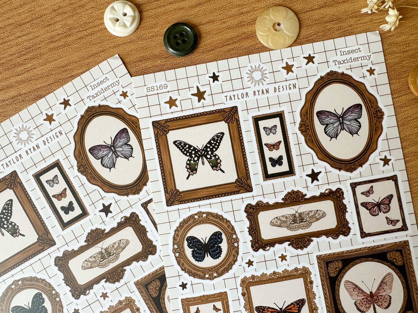 Insect Taxidermy Sticker Sheet