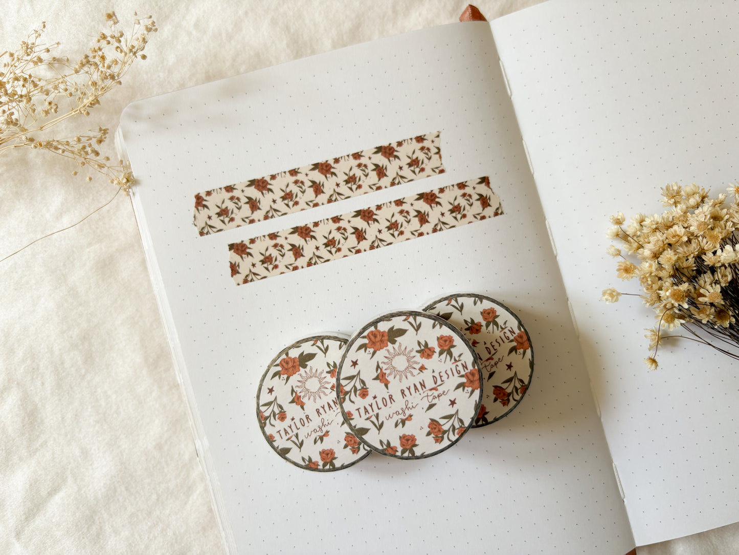 Teddy & Lace FULL COLLECTION BUNDLE