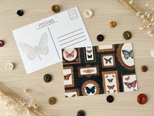 Butterfly Frames Postcard