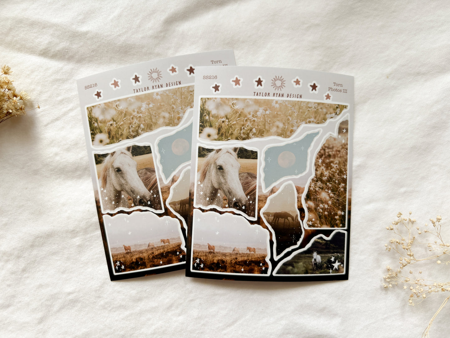 Torn Photos III Sticker Sheet