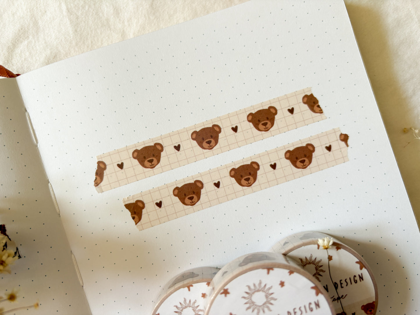 Teddy & Lace FULL COLLECTION BUNDLE