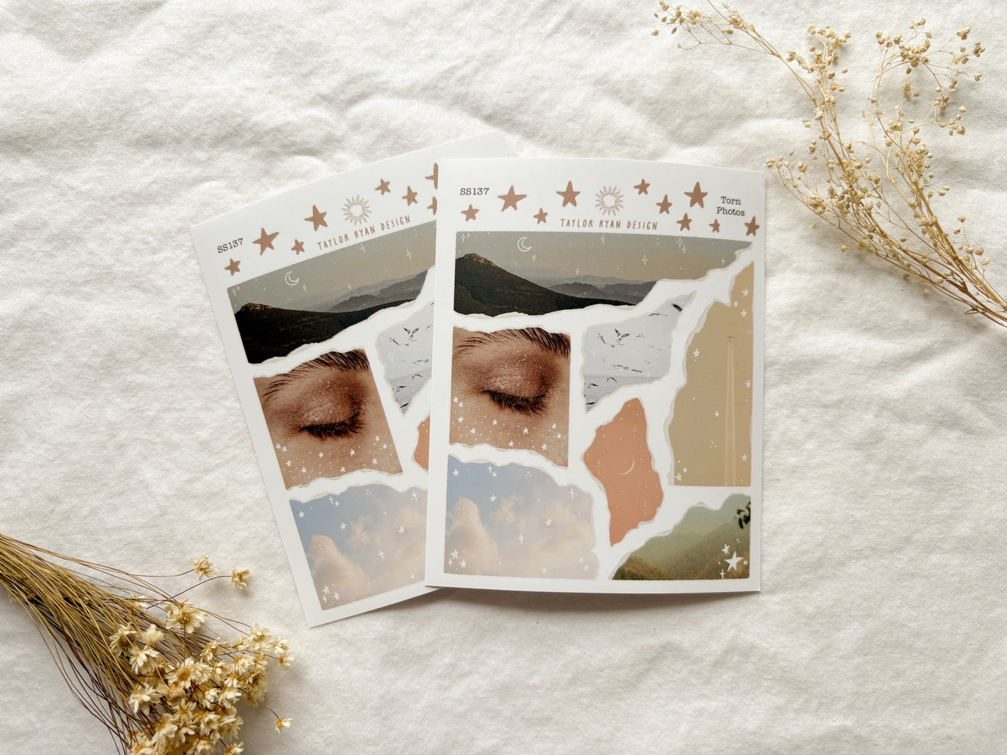 Torn Photos Sticker Sheet
