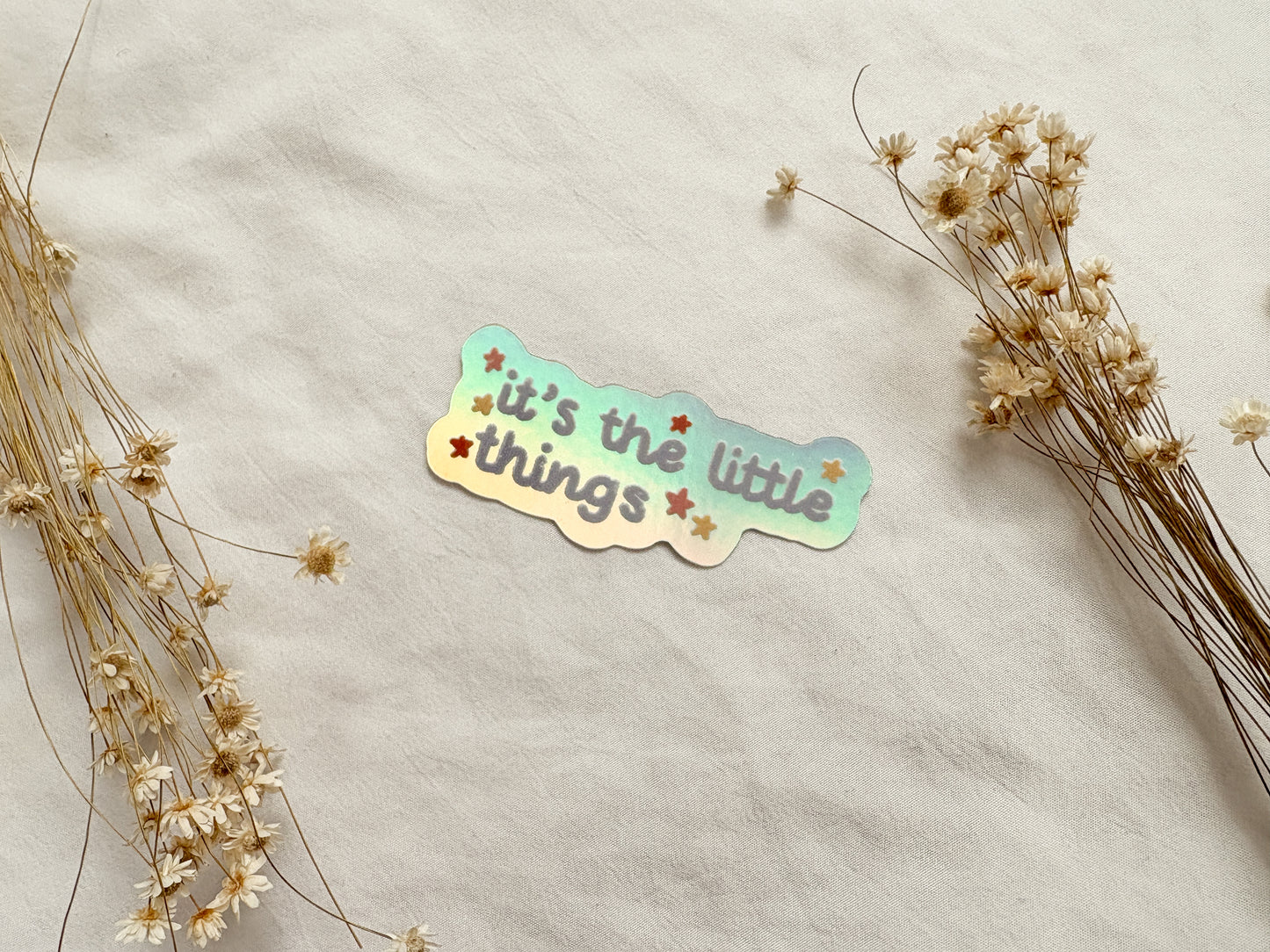 Little Things Holographic Vinyl Sticker