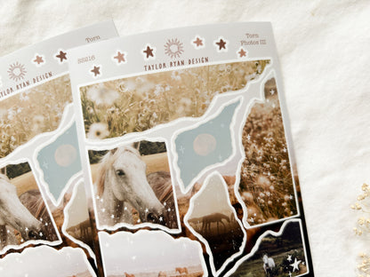 Torn Photos III Sticker Sheet
